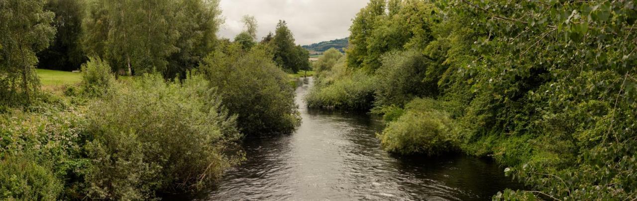 Woodford Dolmen Hotel Carlow Esterno foto